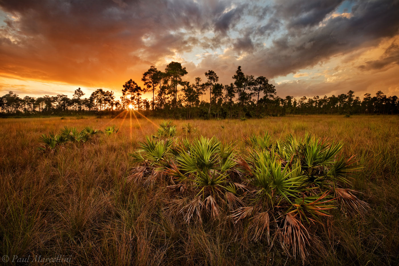 Florida Everglades